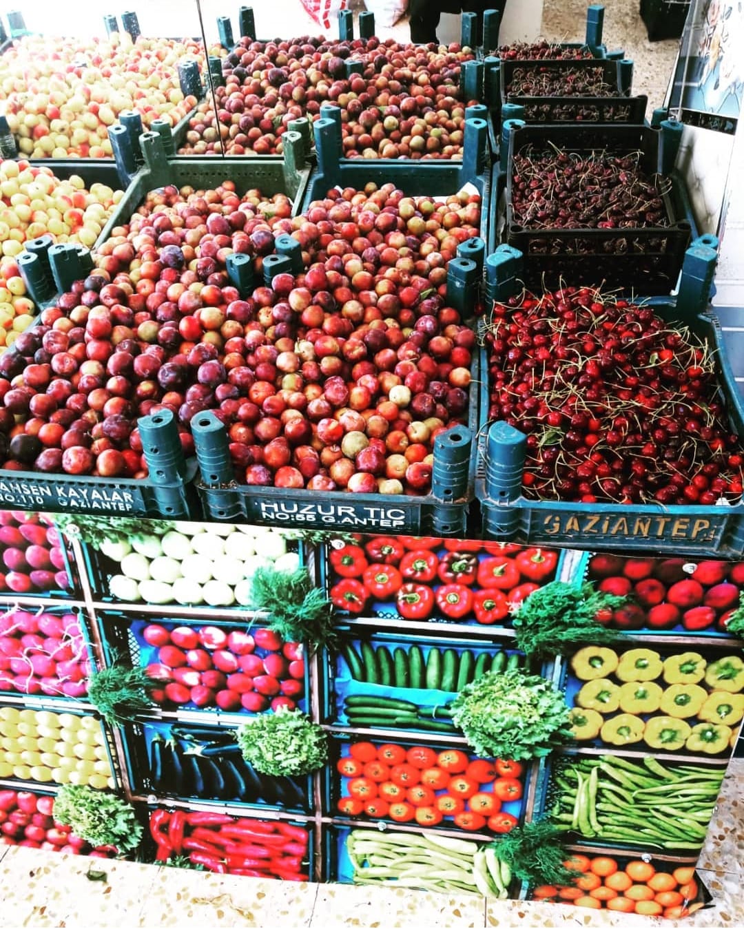 Öz Bakır Manav & Market